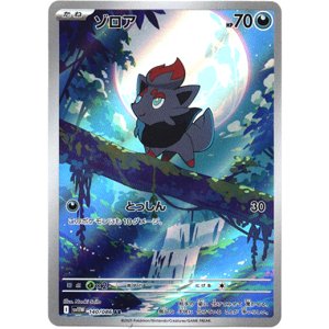 画像: ※傷有り品（返品交換対象外）【AR】ゾロア