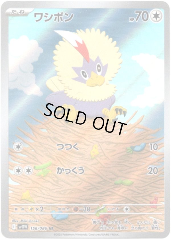 画像1: ※傷有り品（返品交換対象外）【AR】ワシボン