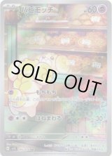 画像: ※傷有り品（返品交換対象外）【AR】パピモッチ