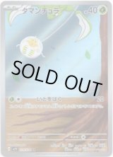 画像: 【AR】タマンチュラ