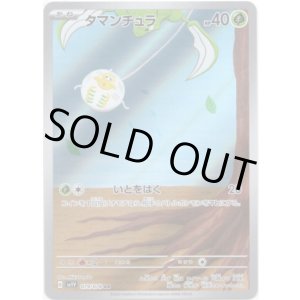 画像: 【AR】タマンチュラ