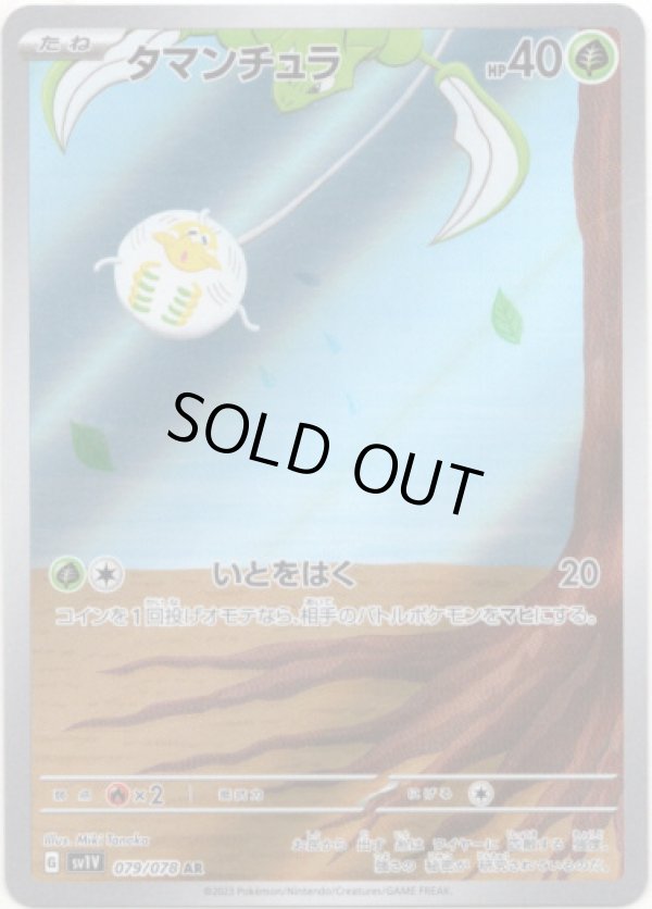 画像1: 【AR】タマンチュラ