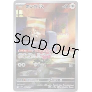 画像: ※傷有り品（返品交換対象外）【AR】ホシガリス