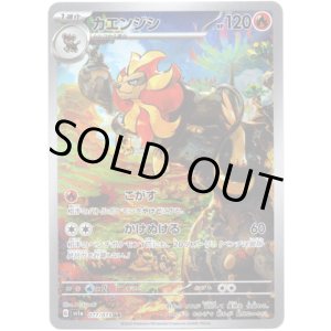 画像: 【AR】カエンジシ