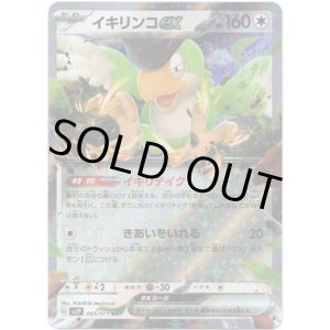 画像: イキリンコex