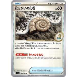 画像: 古びたかいの化石