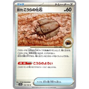 画像: 古びたこうらの化石