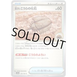 画像: 【マスターボールミラー】古びたこうらの化石