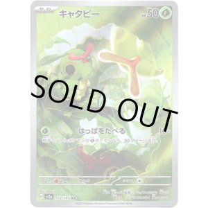 画像: ※傷有り品（返品交換対象外）【AR】キャタピー