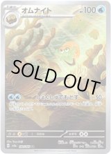 画像: ※傷有り品（返品交換対象外）【AR】オムナイト