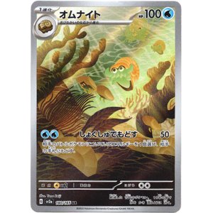 画像: ※傷有り品（返品交換対象外）【AR】オムナイト