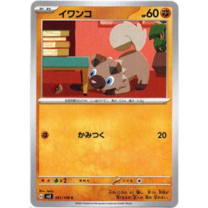 画像: イワンコ