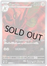 画像: ※傷有り品（返品交換対象外）【AR】ハッサム