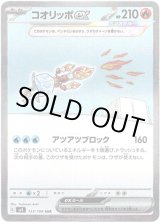 画像: ※傷有り品（返品交換対象外）【SAR】コオリッポex