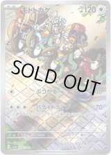 画像: ※傷有り品（返品交換対象外）【AR】モトトカゲ