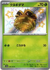画像: 【S】クヌギダマ