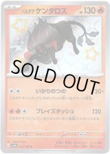 画像: ※傷有り品（返品交換対象外）【S】パルデア ケンタロス