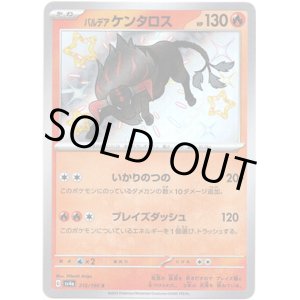 画像: ※傷有り品（返品交換対象外）【S】パルデア ケンタロス