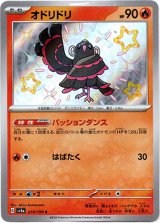 画像: 【S】オドリドリ