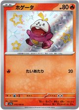 画像: 【S】ホゲータ