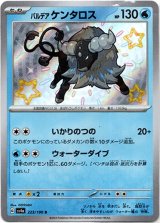 画像: 【S】パルデア ケンタロス