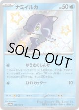 画像: ※傷有り品（返品交換対象外）【S】ナミイルカ