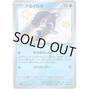 画像: ※傷有り品（返品交換対象外）【S】ナミイルカ