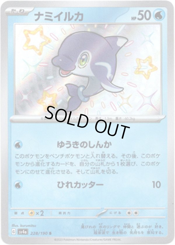 画像1: ※傷有り品（返品交換対象外）【S】ナミイルカ