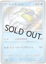 画像: ※傷有り品（返品交換対象外）【S】ヘイラッシャ
