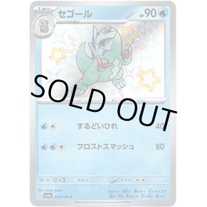 画像: ※傷有り品（返品交換対象外）【S】セゴール