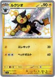 画像1: ※傷有り品（返品交換対象外）【S】ルクシオ