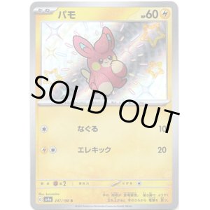 画像: ※傷有り品（返品交換対象外）【S】パモ