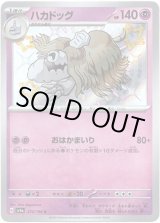 画像: ※傷有り品（返品交換対象外）【S】ハカドッグ