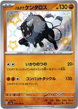画像: 【S】パルデア ケンタロス