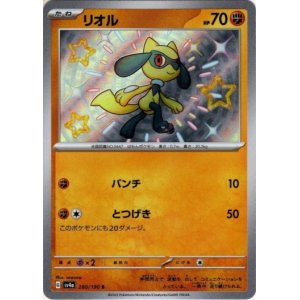 画像: ※傷有り品（返品交換対象外）【S】リオル
