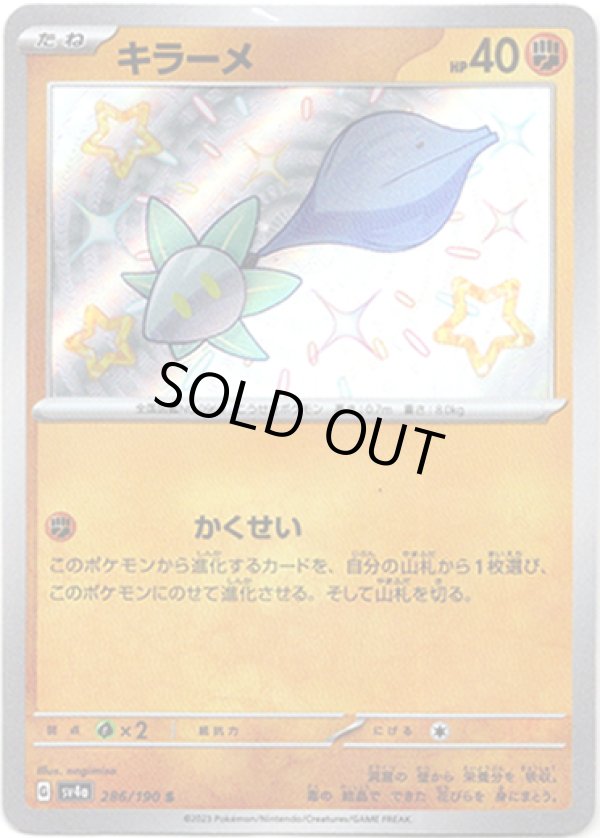 画像1: ※傷有り品（返品交換対象外）【S】キラーメ