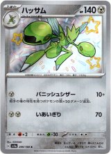 画像: 【S】ハッサム