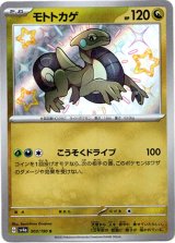 画像: 【S】モトトカゲ