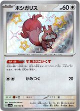 画像: 【S】ホシガリス