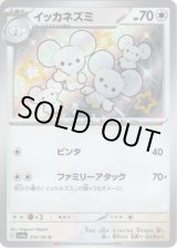 画像: ※傷有り品（返品交換対象外）【S】イッカネズミ