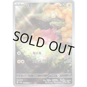 画像: ※傷有り品（返品交換対象外）【AR】パモ