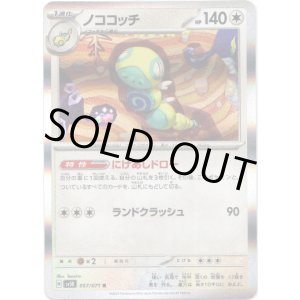 画像: ノココッチ