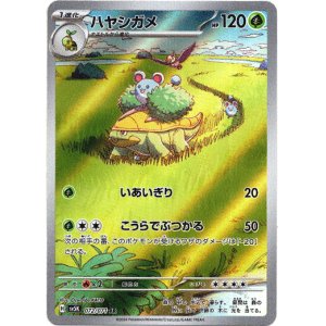 画像: 【AR】ハヤシガメ