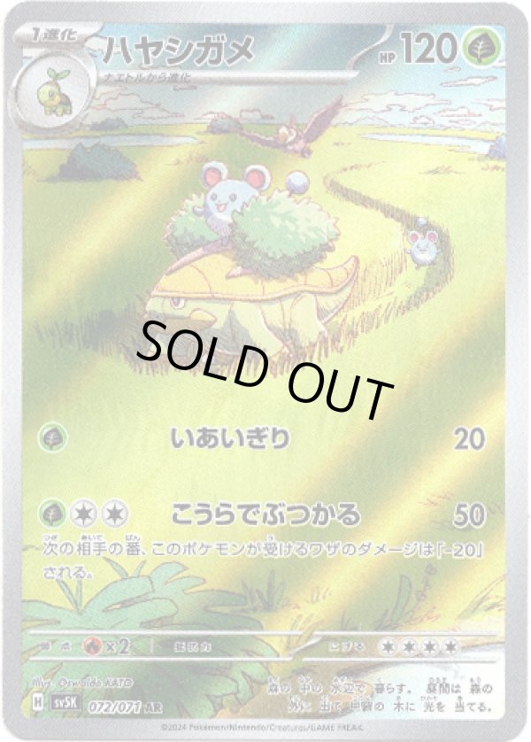 画像1: 【AR】ハヤシガメ