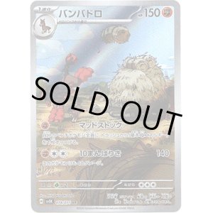 画像: ※傷有り品（返品交換対象外）【AR】バンバドロ
