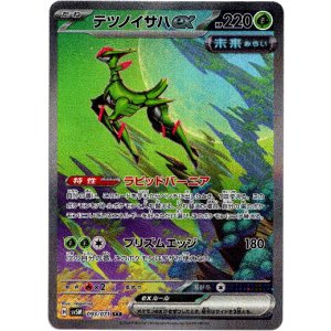 画像: ※傷有り品（返品交換対象外）【SAR】テツノイサハex