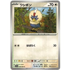 画像: ワシボン