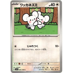 画像: ワッカネズミ