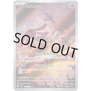 画像: ※傷有り品（返品交換対象外）【AR】エムリット