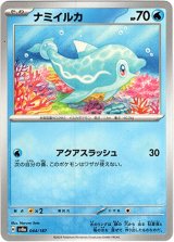 画像: ナミイルカ